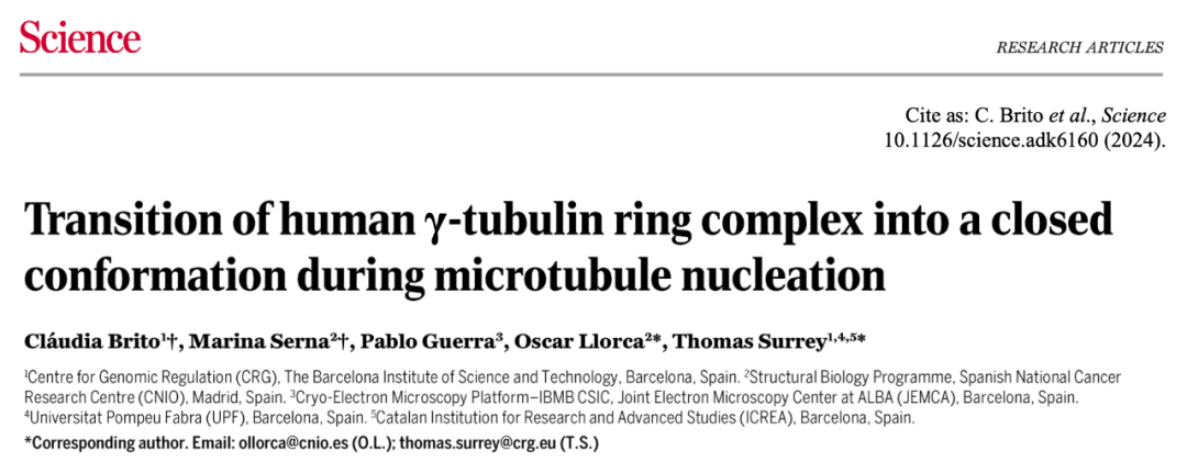 Science重磅：首次捕獲人類細(xì)胞“高速公路”構(gòu)建過(guò)程的高分辨率圖像，為微管相關(guān)疾病的治療指明新的方向！